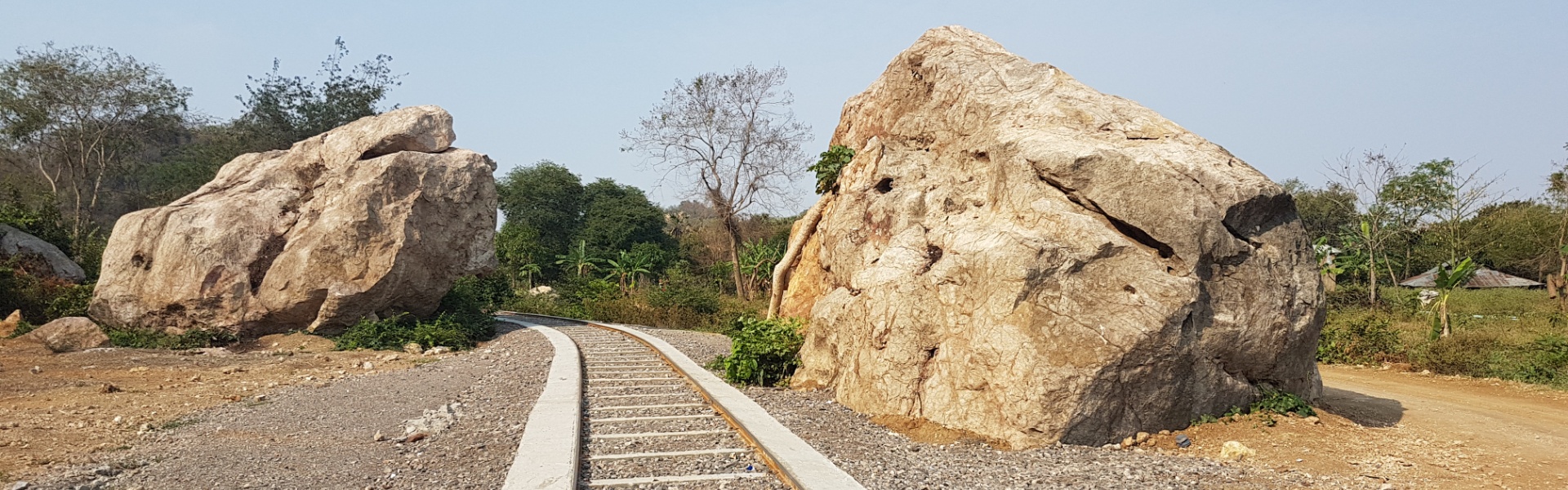 Bamboo train