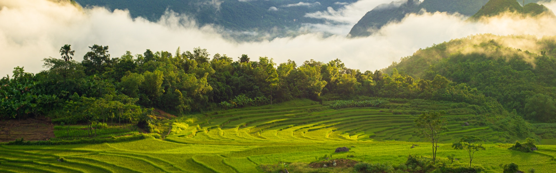 Pu Luong Nature Reserve