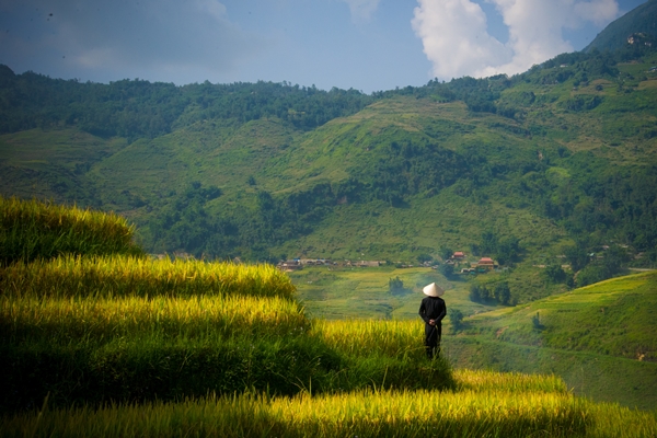 From Hanoi to Sapa