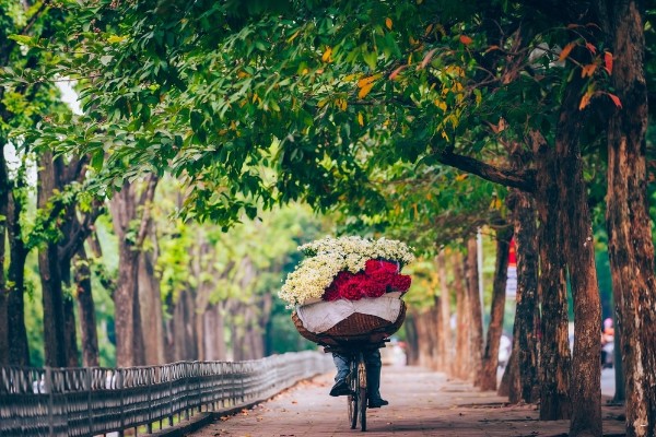 Day 02: Hanoi city tour - train to Lao Cai