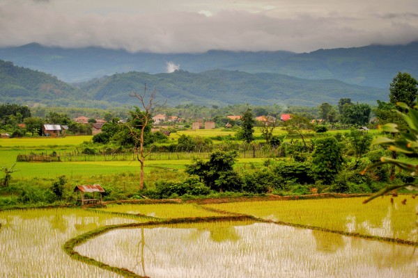 Day 6: Luang Namtha – Excursion & Homestay