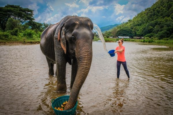 Day 07: Chiang Mai - Elephant Sanctuary, Doi Suthep