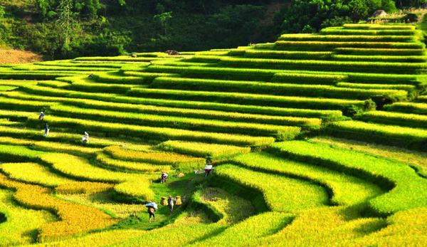 Day 04: Mai Chau - Pu Luong - rafting