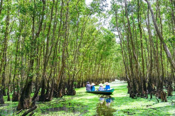 Day 06: Chau Doc – Sam Mountain - Hang Pagoda – Tra Su Cajuput Forest – Saigon