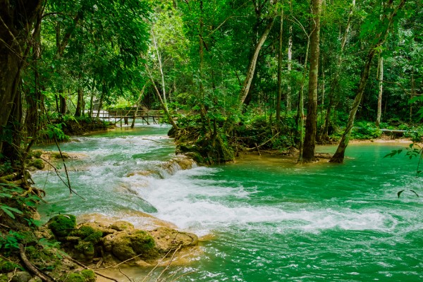 Day 15: Luang Prabang - city tour - Tad Sae waterfall - Kuangsi Waterfall