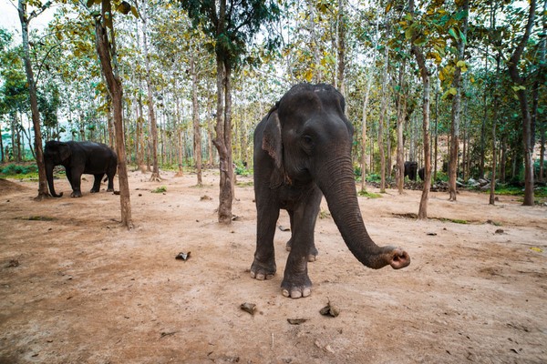 Day 4: Luang Prabang – Trekking & kayak experience