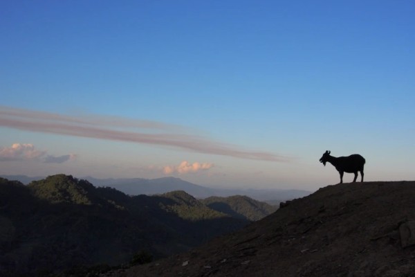 Day 7: Luang Namtha – Phongsaly