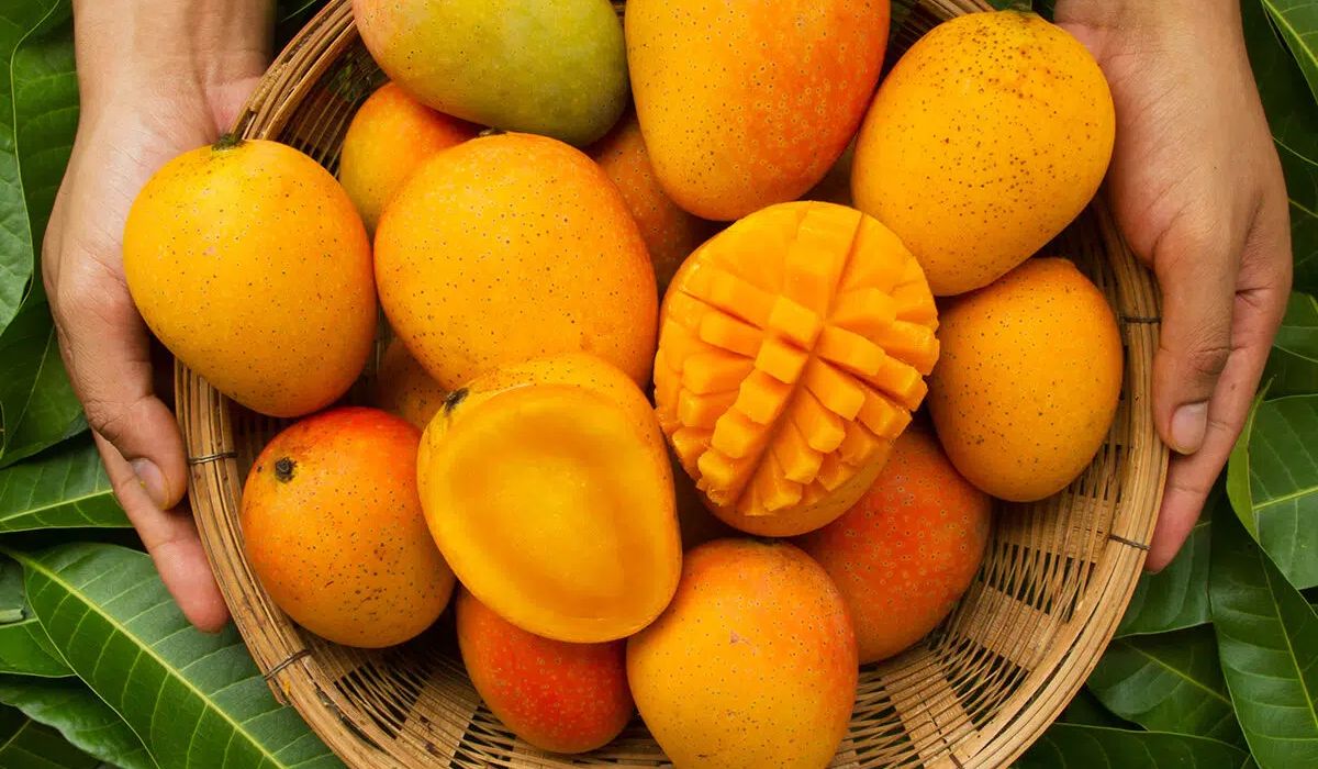 Mango