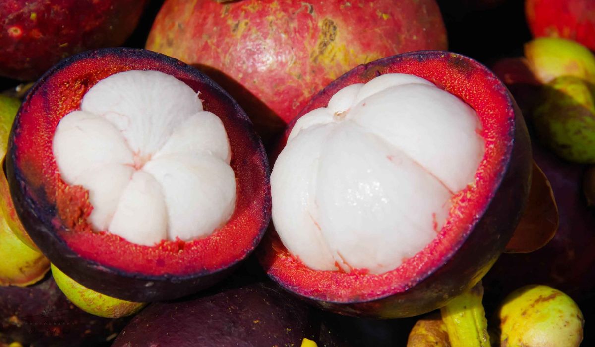 Mangosteen