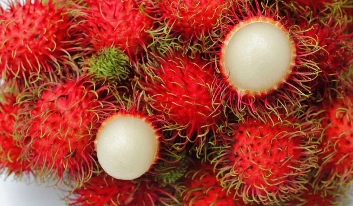 Rambutan